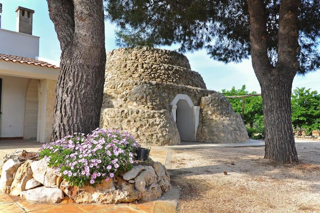 Villa Principe Degli Olivi มารุจจิโอ ภายนอก รูปภาพ