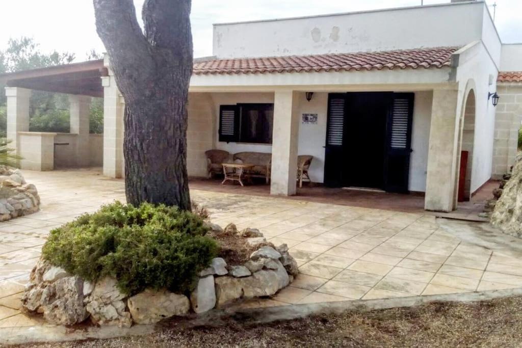 Villa Principe Degli Olivi มารุจจิโอ ภายนอก รูปภาพ
