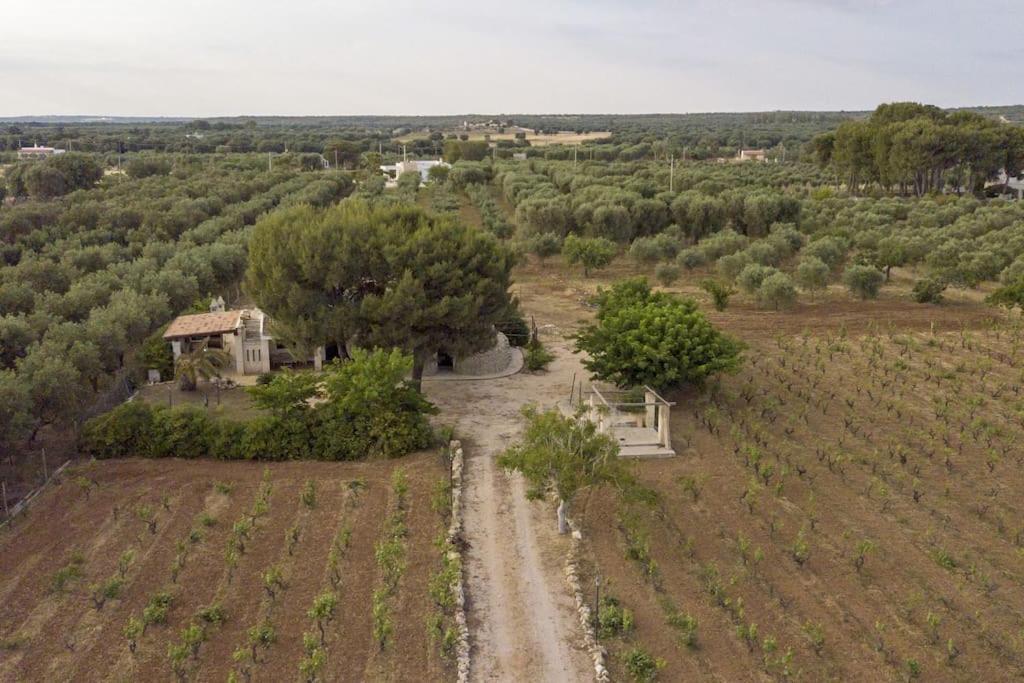 Villa Principe Degli Olivi มารุจจิโอ ภายนอก รูปภาพ