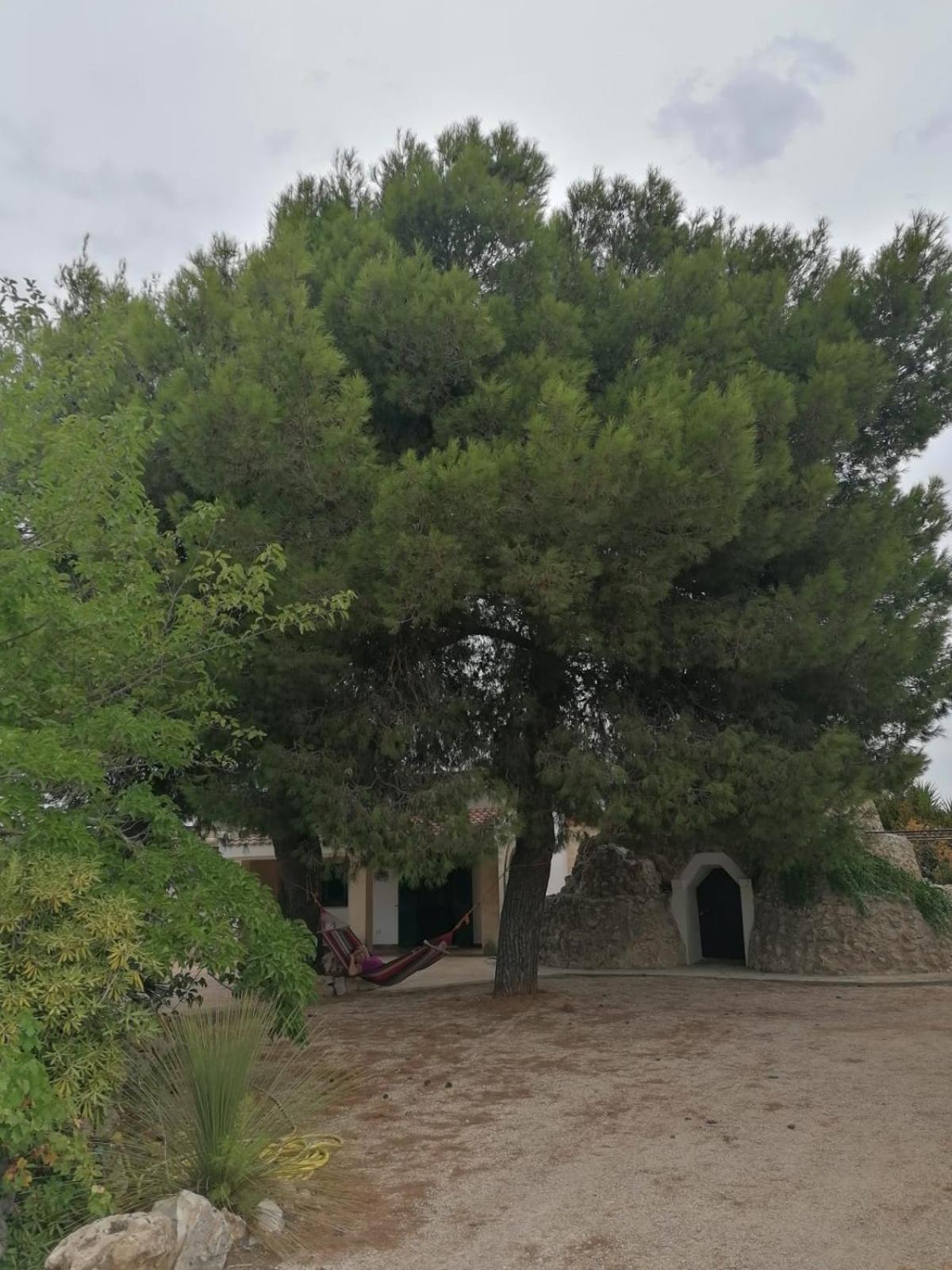 Villa Principe Degli Olivi มารุจจิโอ ภายนอก รูปภาพ
